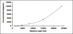 Biomatik Corporation Human Glycine Dehydrogenase (GLDC) CLIA Kit, Quantity: