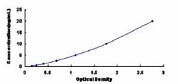 Biomatik Corporation Human Linker For Activation Of T-Cell (LAT) ELISA