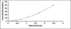 Biomatik Corporation Human Peptidyl Arginine Deiminase Type III (PADI3)