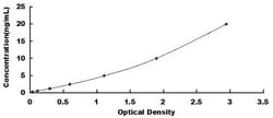 Biomatik Corporation Mouse Ornithine Transcarbamylase (OTC) ELISA Kit,