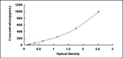 Biomatik Corporation Human Carcinoembryonic Antigen Related Cell Adhesion