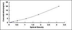 Biomatik Corporation Human Defensin Beta 119 (DEFb119) ELISA Kit, Quantity: