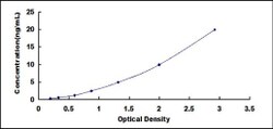 Biomatik Corporation Human Pyruvate Dehydrogenase Phosphatase (PDP) ELISA