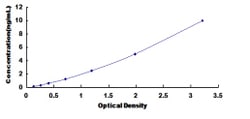 Biomatik Corporation Human Actin Related Protein 2/3 Complex Subunit 2
