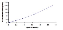 Biomatik Corporation Human Ribophorin I (RPN1) ELISA Kit, Quantity: Each