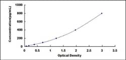 Biomatik Corporation Human Membrane Protein, Palmitoylated 6 (MPP6) ELISA