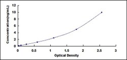 Biomatik Corporation Human D2-Hydroxyglutarate Dehydrogenase (D2HGDH) ELISA
