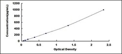 Biomatik Corporation Rat Vascular Endothelial Growth Factor B (VEGFB) ELISA