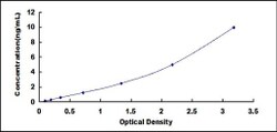 Biomatik Corporation Human Transglutaminase 6 (TGM6) ELISA Kit, Quantity: