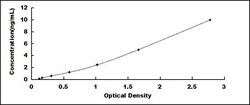 Biomatik Corporation Human Dopa Decarboxylase (DDC) High-sensitive ELISA