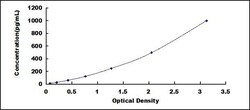 Biomatik Corporation Dog Interleukin 12A (IL12A) ELISA Kit, Quantity: Each
