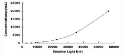 Biomatik Corporation Human Tissue Inhibitors Of Metalloproteinase 1 (TIMP1)