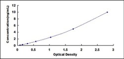 Biomatik Corporation Human Uracil Phosphoribosyltransferase (UPRT) ELISA