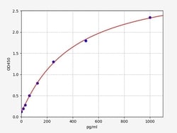 Biomatik Corporation Human SNCA (Alpha-synuclein) ELISA Kit, Quantity: