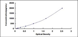 Biomatik Corporation Human Cerberus (CER) ELISA Kit, Quantity: Each of