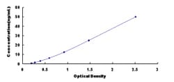 Biomatik Corporation Human Arginyl tRNA Synthetase (RARS) ELISA Kit, Quantity: