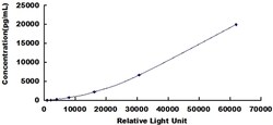 Biomatik Corporation Human Macrophage Derived Chemokine (MDC) CLIA Kit,