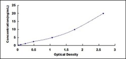 Biomatik Corporation Human Dynamin 2 (DNM2) ELISA Kit, Quantity: Each of