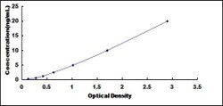 Biomatik Corporation Human Echinoderm Microtubule Associated Protein Like