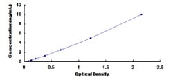 Biomatik Corporation Human Topoisomerase III (TOP3) ELISA Kit, Quantity:
