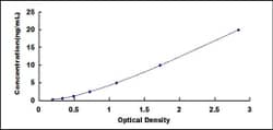 Biomatik Corporation Bovine Tissue Inhibitors Of Metalloproteinase 3 (TIMP3)