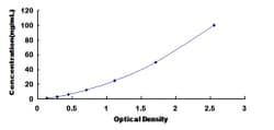 Biomatik Corporation Rat Glycogen Phosphorylase, Liver (PYGL) ELISA Kit,