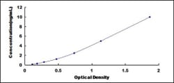 Biomatik Corporation Mouse Chromatin Assembly Factor 1, Subunit B (CHAF1B)
