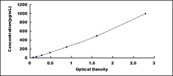 Biomatik Corporation Human Interleukin 17B (IL17B) ELISA Kit, Quantity: