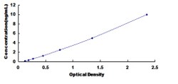 Biomatik Corporation Human Interleukin 21 Receptor (IL21R) ELISA Kit, Quantity: