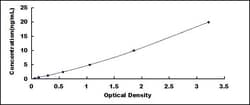 Biomatik Corporation Human Replication Protein A1 (RPA1) ELISA Kit, Quantity: