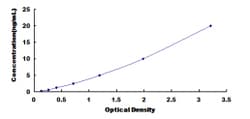 Biomatik Corporation Human Replication Initiator 1 (REPIN1) ELISA Kit,