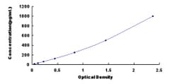 Biomatik Corporation Rat Fibroblast Growth Factor 12 (FGF12) ELISA Kit,