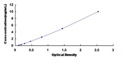 Biomatik Corporation Mouse Slit Homolog 1 (Slit1) ELISA Kit, Quantity:
