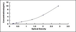 Biomatik Corporation Human Cysteine Sulfinic Acid Decarboxylase (CSAD)