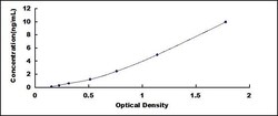 Biomatik Corporation Human Cathepsin Z (CTSZ) ELISA Kit, Quantity: Each