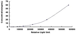 Biomatik Corporation Human Tissue Inhibitors Of Metalloproteinase 3 (TIMP3)