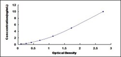 Biomatik Corporation Human Gigaxonin (GAN) ELISA Kit, Quantity: Each of