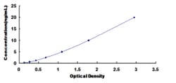 Biomatik Corporation Human Discs, Large Homolog 3 (DLG3) ELISA Kit, Quantity: