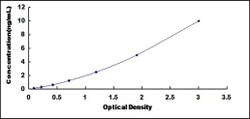 Biomatik Corporation Human Neuroblastoma, Suppression Of Tumorigenicity