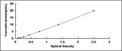 Biomatik Corporation Rat Wolfram Syndrome Protein 1 (WFS1) ELISA Kit, Quantity: