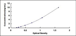 Biomatik Corporation Human Neurogenic Differentiation 6 (NEUROD6) ELISA