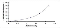 Biomatik Corporation Human Laminin Beta 2 (LAMb2) ELISA Kit, Quantity: