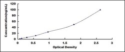 Biomatik Corporation Mouse Carbonic Anhydrase II (CA2) ELISA Kit, Quantity:
