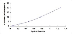 Biomatik Corporation Human Natriuretic Peptide Receptor 1 (NPR1) ELISA