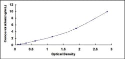 Biomatik Corporation Human RalA Binding Protein 1 (RALBP1) ELISA Kit, Quantity:
