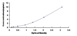 Biomatik Corporation Mouse Chordin Like Protein 2 (CHRDL2) ELISA Kit, Quantity:
