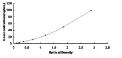 Biomatik Corporation Human Chymotrypsinogen B2 (CTRB2) ELISA Kit, Quantity: