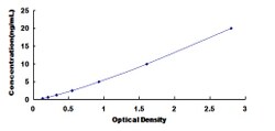 Biomatik Corporation Human Cholinergic Receptor, Nicotinic, Beta 3 (CHRNb3)