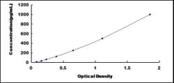 Biomatik Corporation Rat Tyrosinase (TYR) ELISA Kit, Quantity: Each of