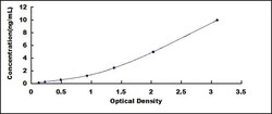 Biomatik Corporation Human Protein SCAF11 (SCAF11) ELISA Kit, Quantity: